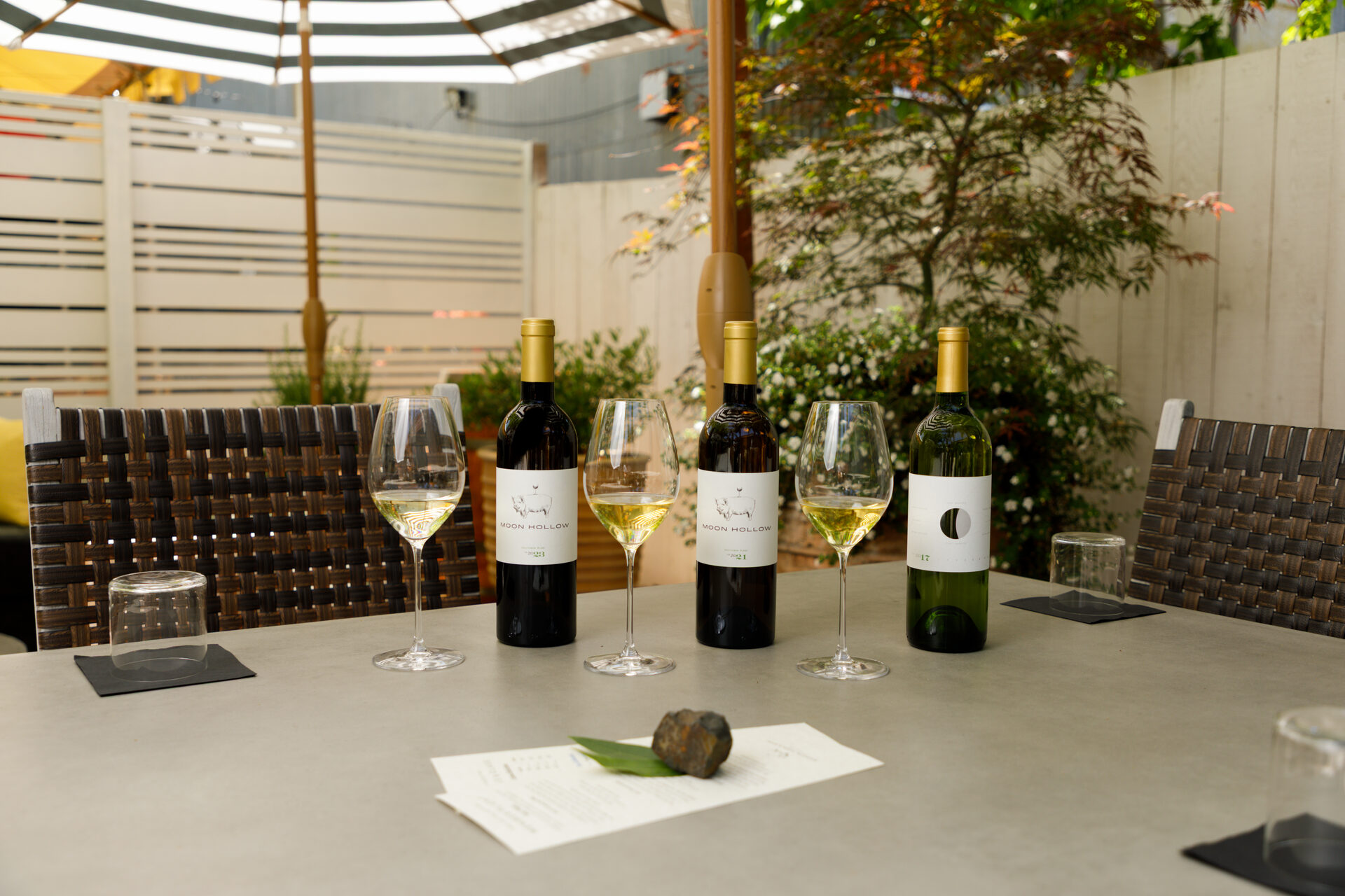 Moon Hollow wines